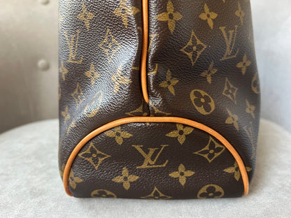 Louis Vuitton Delightful PM Monogram