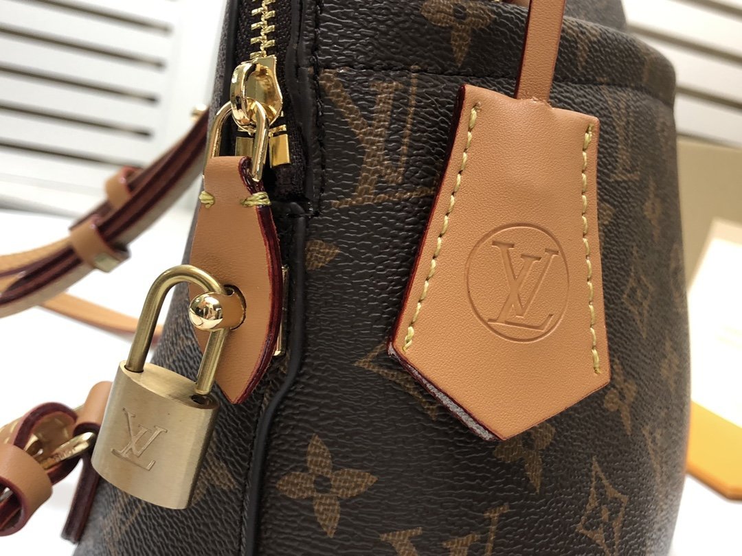 Designer Handbags Louis Vuitton 115