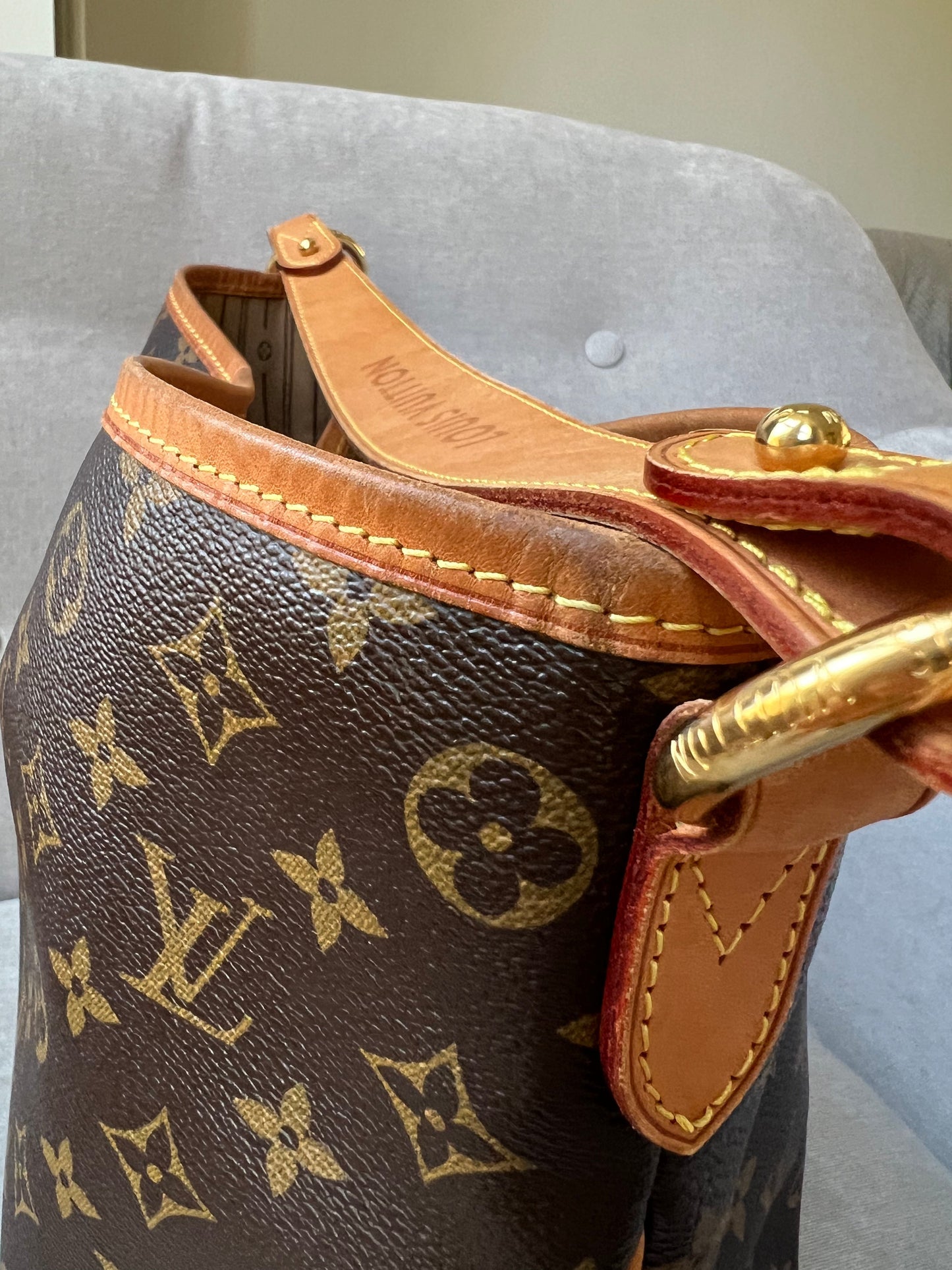 Louis Vuitton Delightful PM Monogram