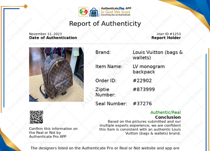 Backpack Luxury Designer By Louis Vuitton  Size: Medium