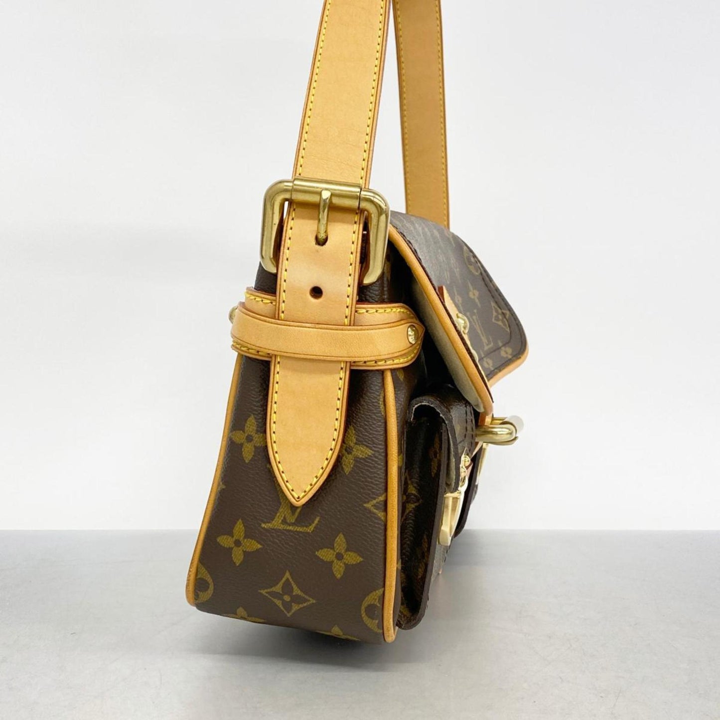 LOUIS VUITTON Hudson Shoulder Bag