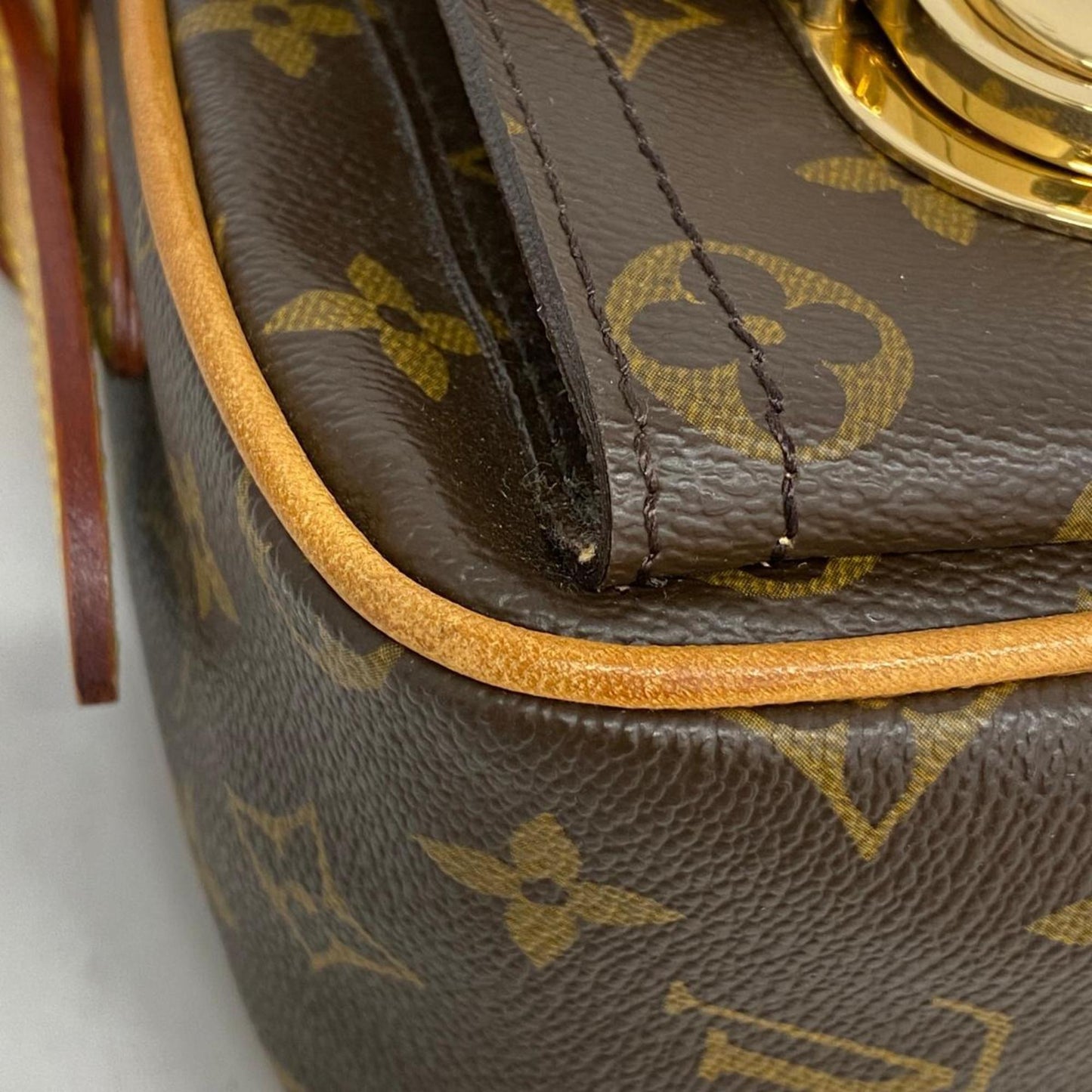 LOUIS VUITTON Hudson Shoulder Bag