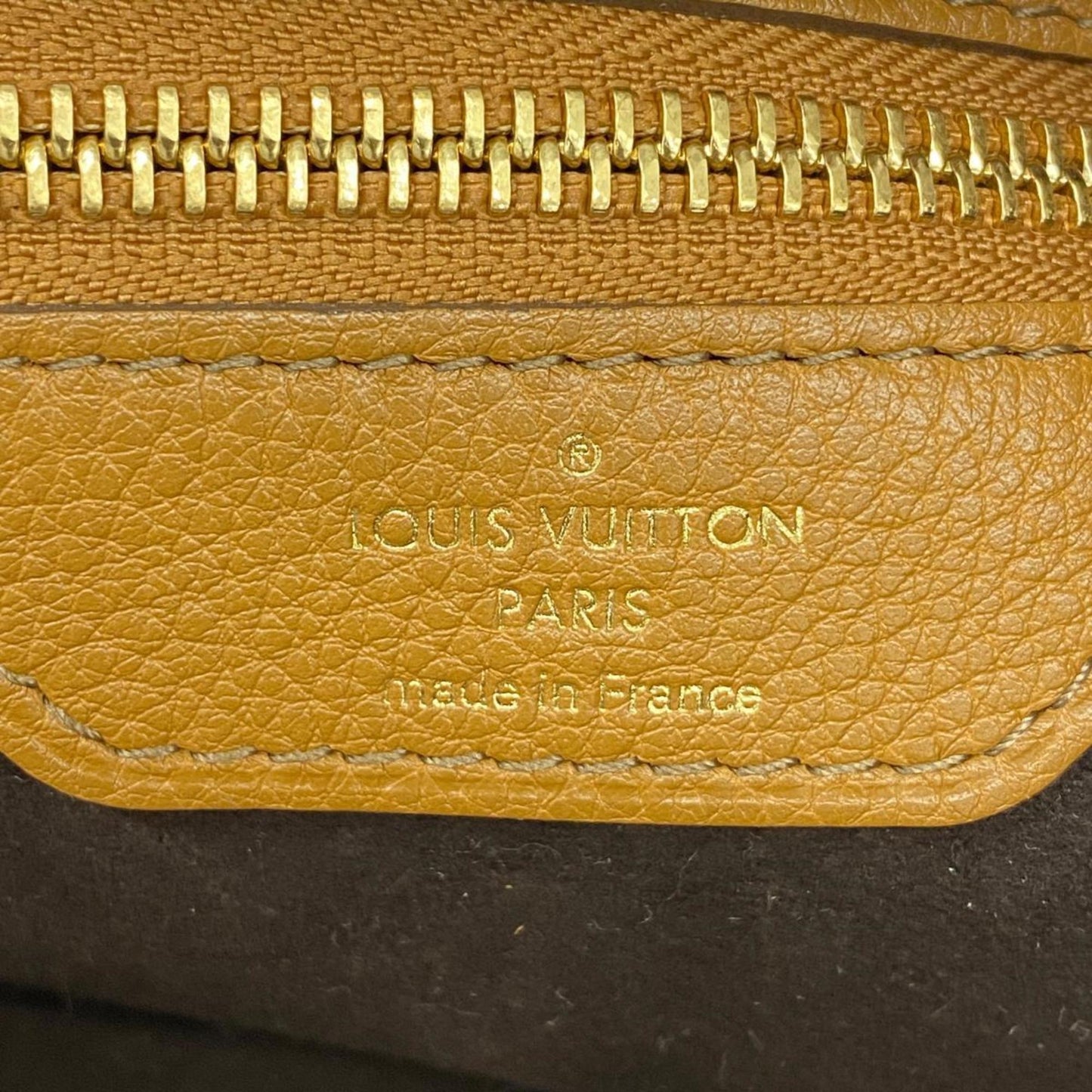 LOUIS VUITTON Selene Shoulder Bag