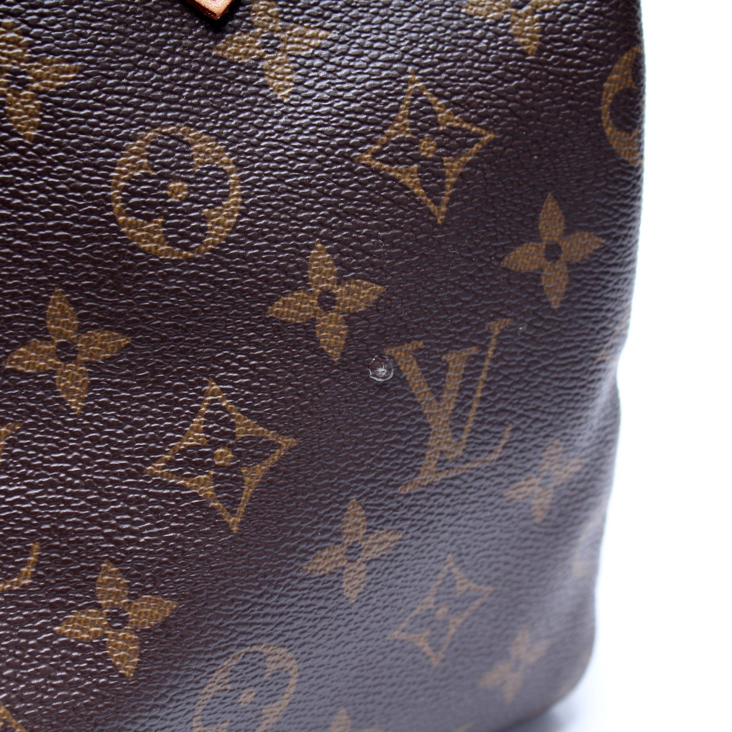 Speedy 25 Bandouliere Monogram