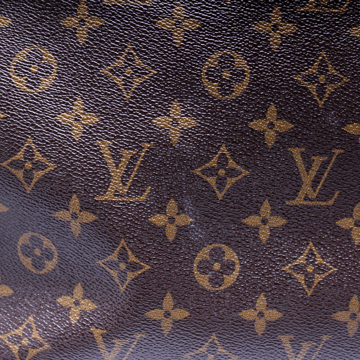 Neverfull GM Monogram