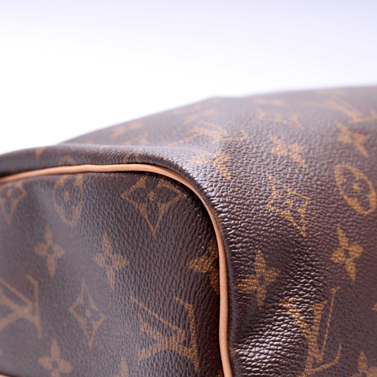 Speedy 30 Bandouliere Monogram