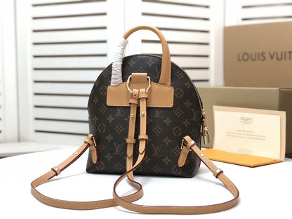 Designer Handbags Louis Vuitton 115