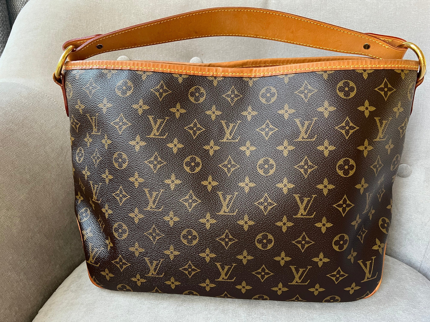 Louis Vuitton Delightful PM Monogram