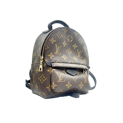 Louis Vuitton Monogram Canvas Palm Springs Mini Backpack