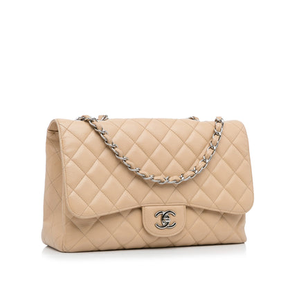 Chanel Classic Single Flap Jumbo Brown Caviar Silver