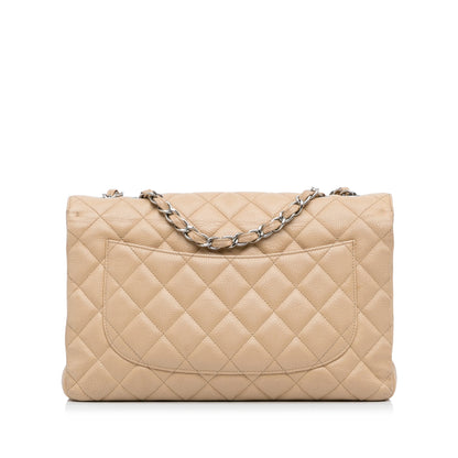 Chanel Classic Single Flap Jumbo Brown Caviar Silver