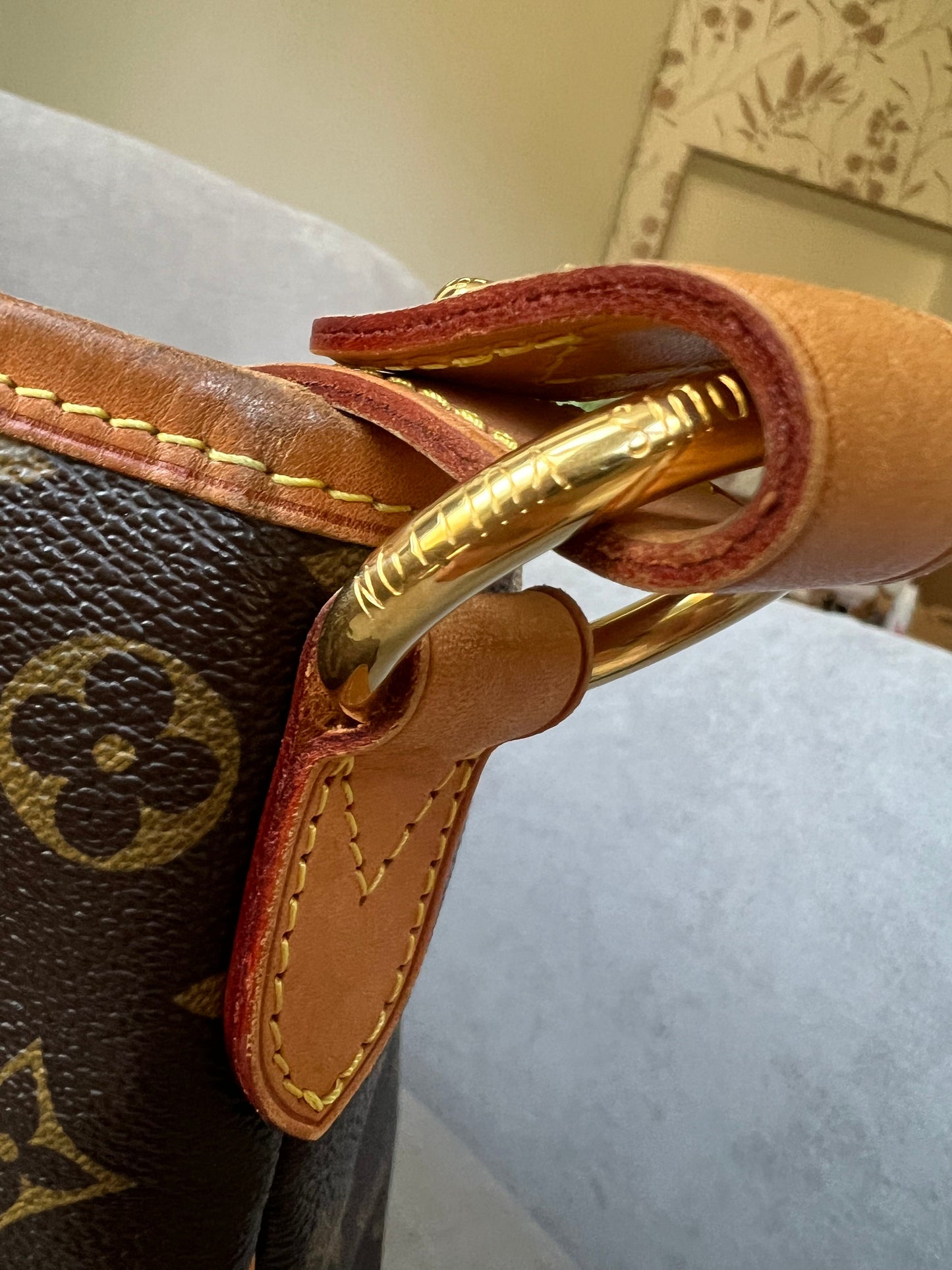 Louis Vuitton Delightful PM Monogram