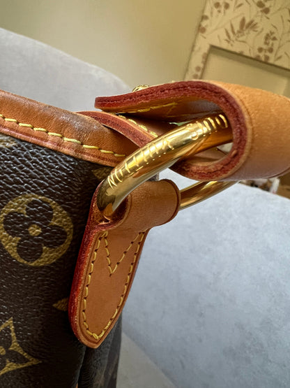 Louis Vuitton Delightful PM Monogram