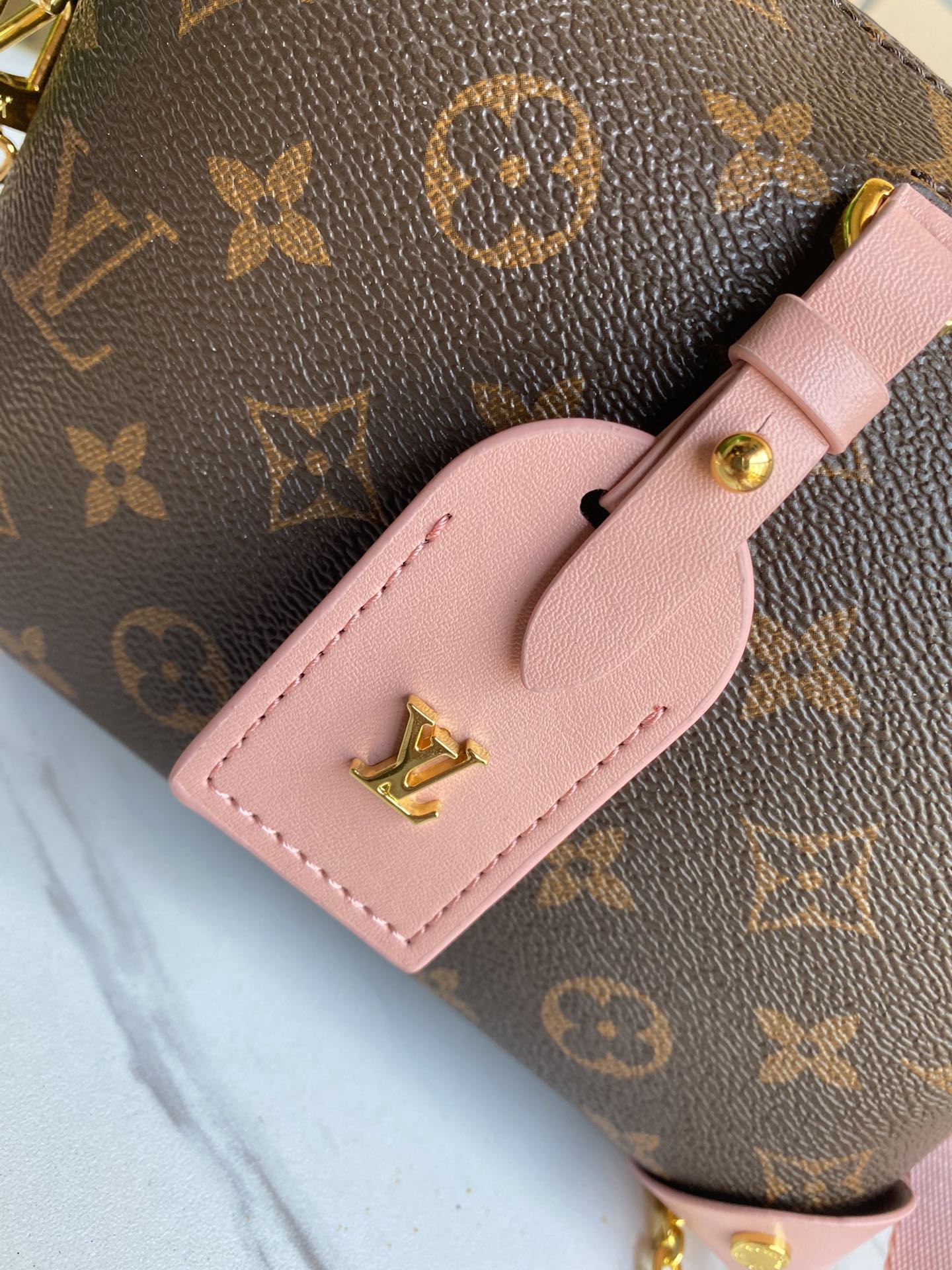 Designer Handbags Louis Vuitton 107