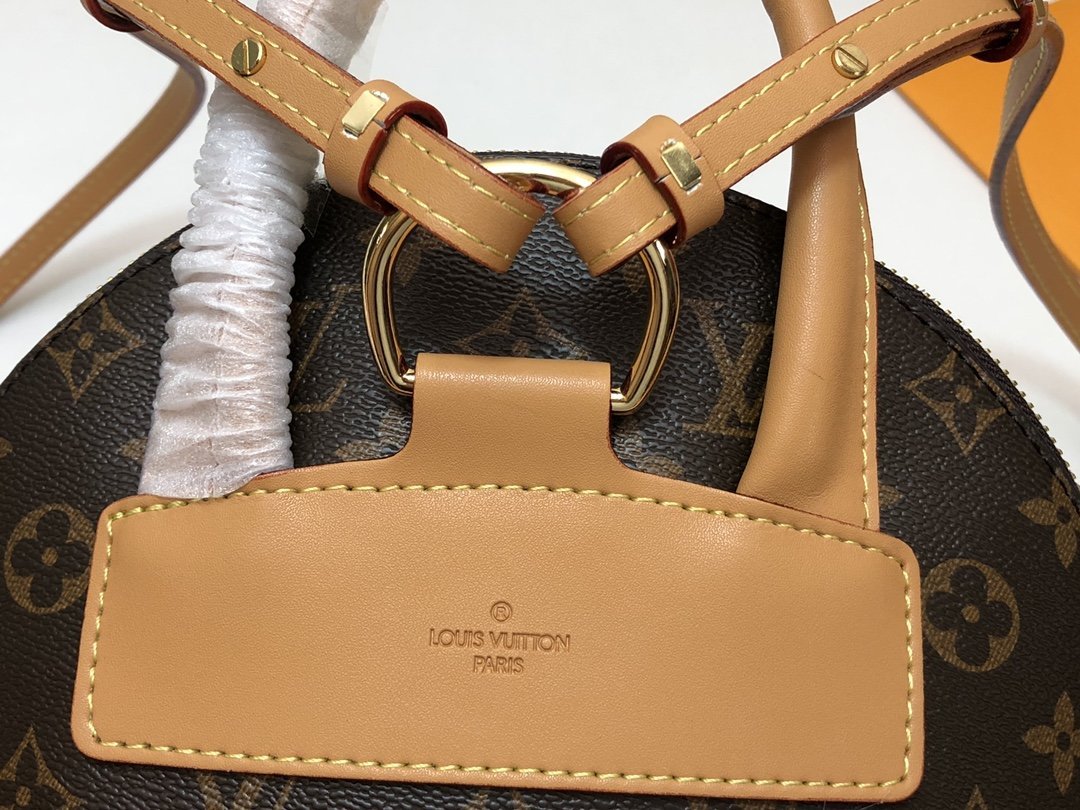 Designer Handbags Louis Vuitton 115