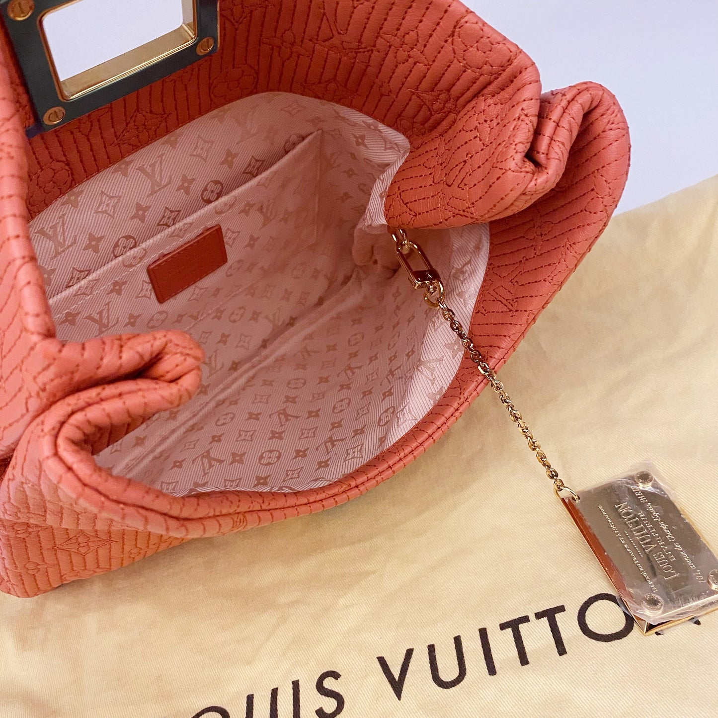 Louis Vuitton  Clutch TWS pop