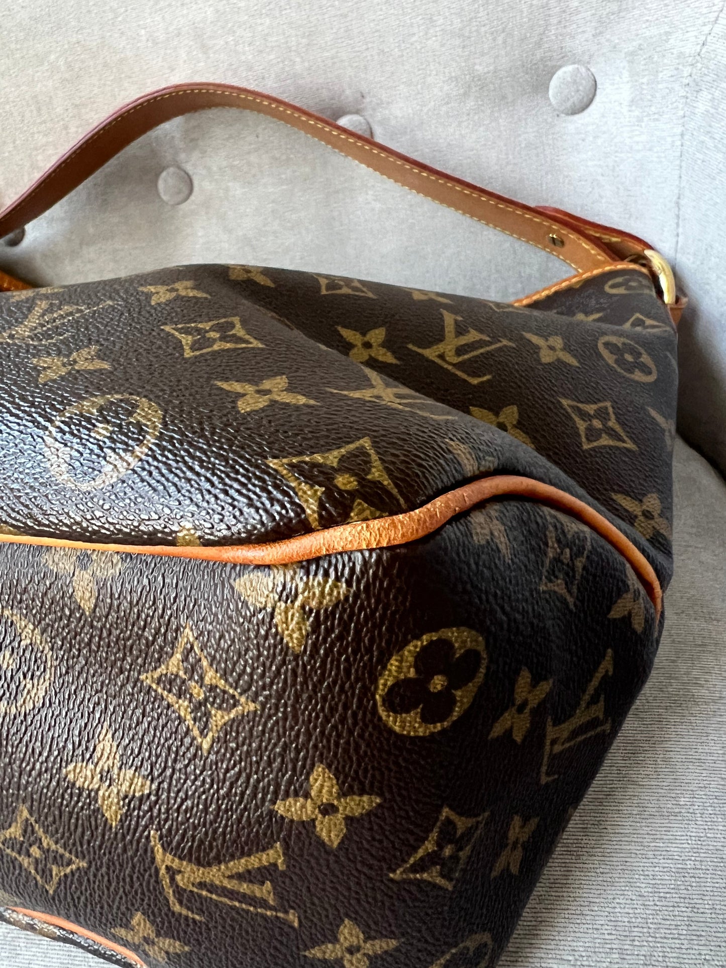 Louis Vuitton Delightful PM Monogram