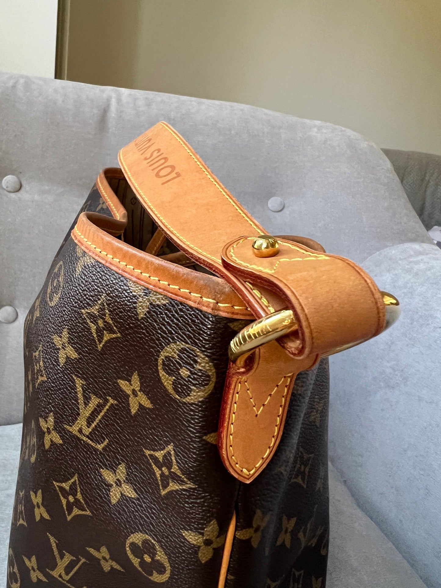 Louis Vuitton Delightful PM Monogram