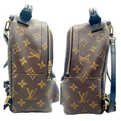 Louis Vuitton Monogram Canvas Palm Springs Mini Backpack