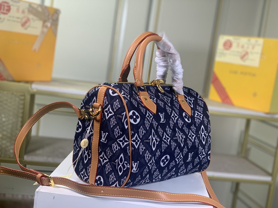 Designer Handbags Louis Vuitton 110