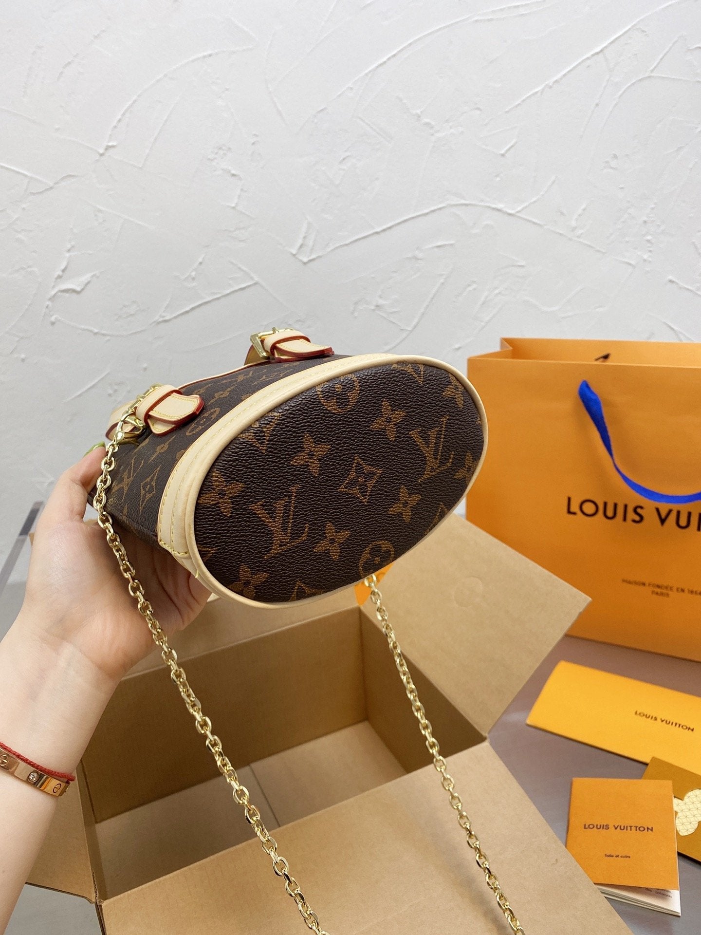 Designer Handbags Louis Vuitton 079