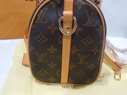 Louis Vuitton  Speedy Handbag