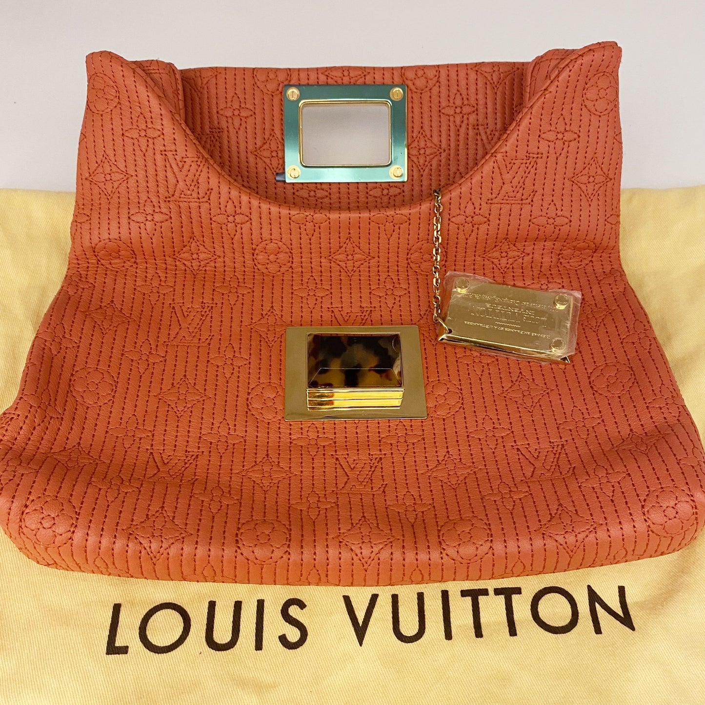 Louis Vuitton  Clutch TWS pop