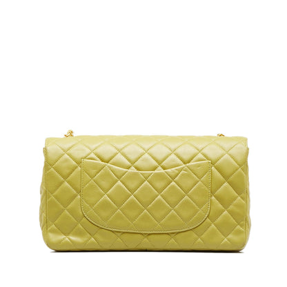 Chanel Medium Classic Lambskin Single Flap (SHG-aqydrY)