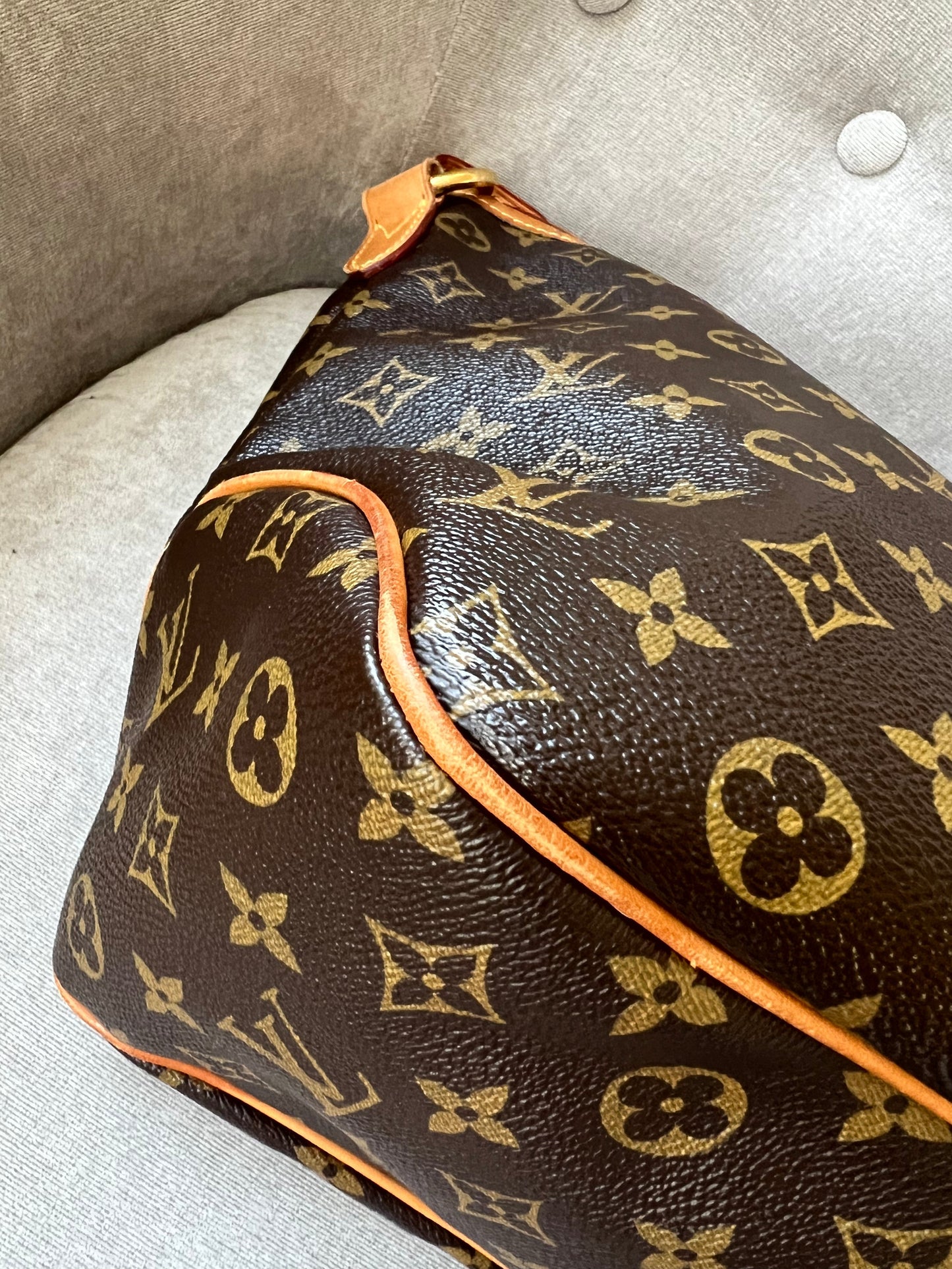 Louis Vuitton Delightful PM Monogram