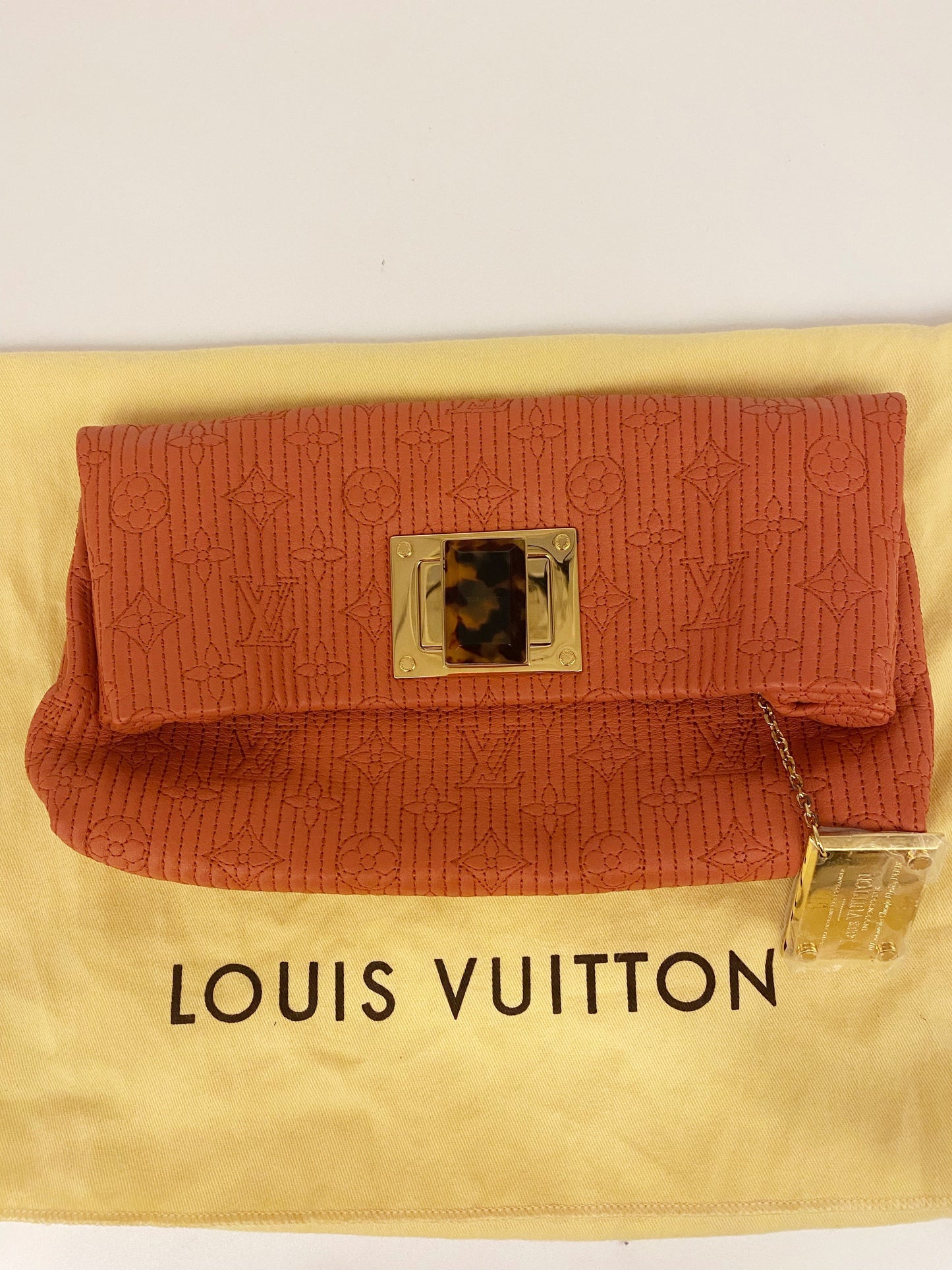 Louis Vuitton  Clutch TWS pop