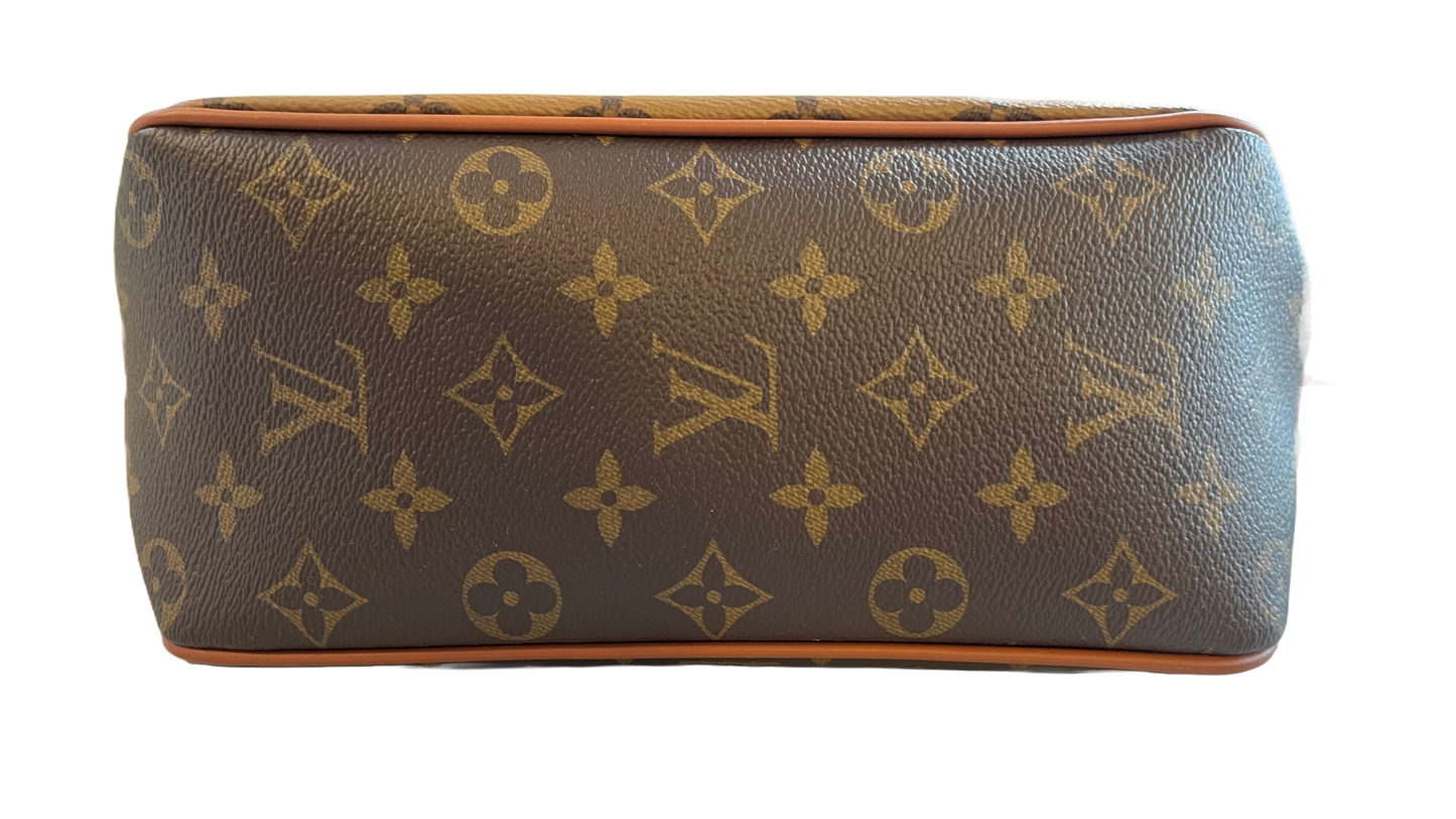 Louis Vuitton Dauphine Hobo PM Reverse Monogram