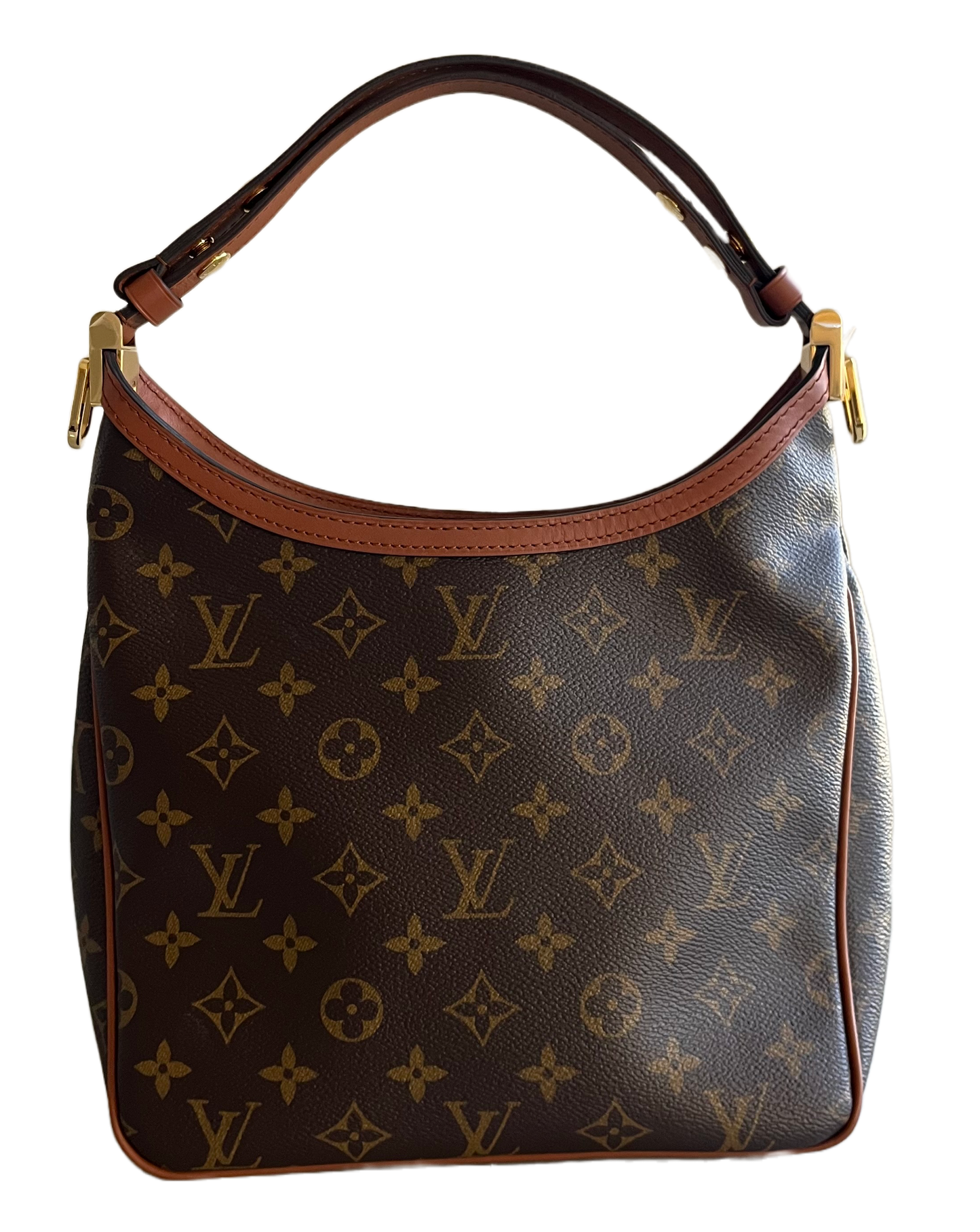 Louis Vuitton Dauphine Hobo PM Reverse Monogram