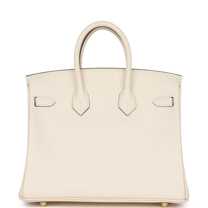 Hermes Birkin 25 Nata Swift Gold Hardware