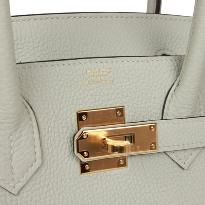 Hermes Birkin 30 Gris Neve Togo Gold Hardware