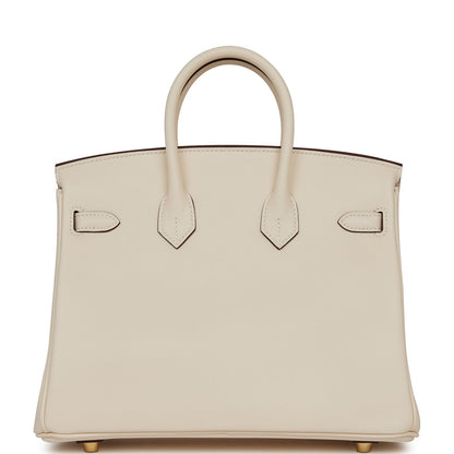 Hermes Birkin 25 Nata Swift Gold Hardware