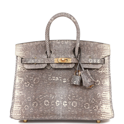 Hermes Birkin 25 Ombre Shiny Salvator Lizard Gold Hardware