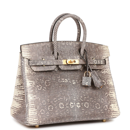 Hermes Birkin 25 Ombre Shiny Salvator Lizard Gold Hardware