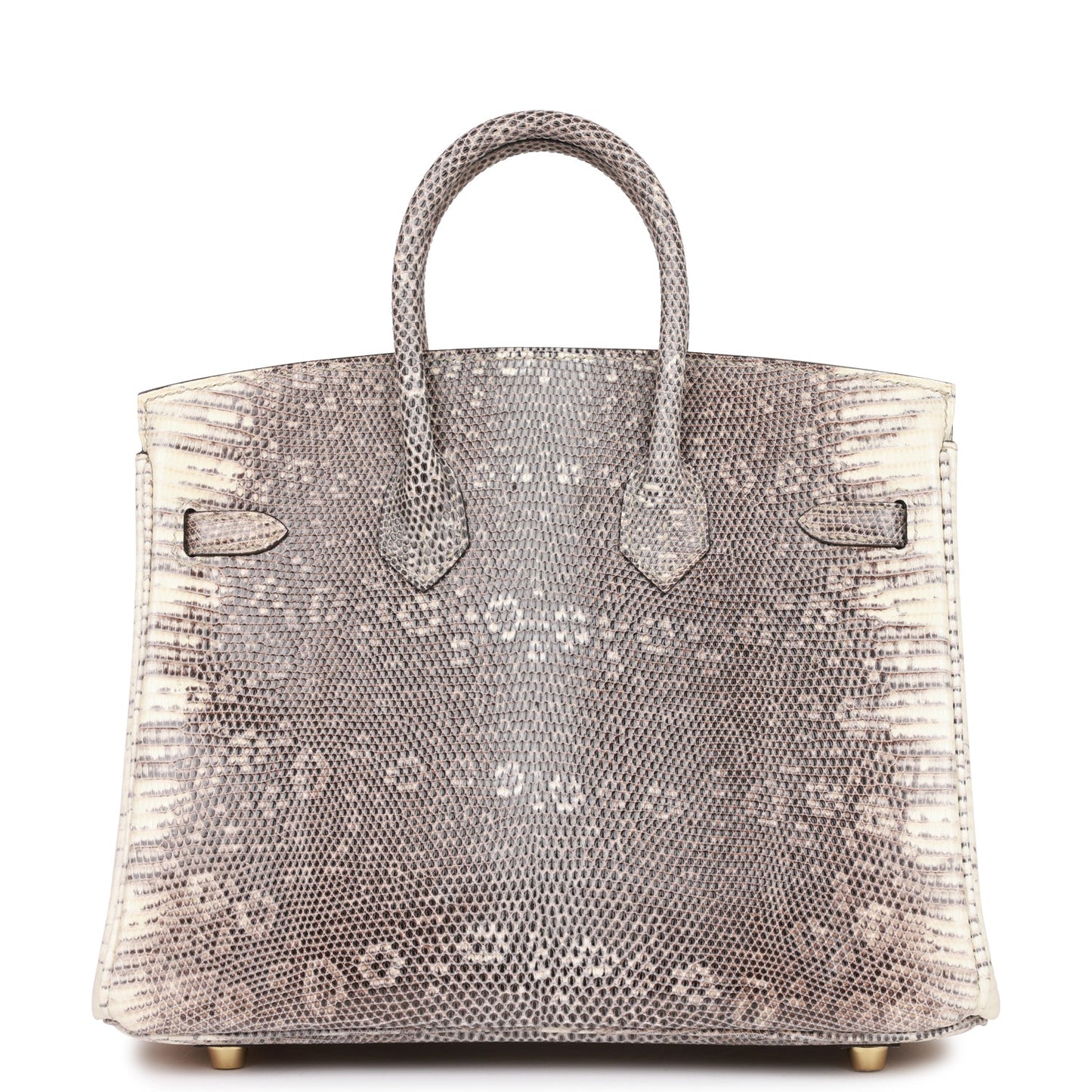 Hermes Birkin 25 Ombre Shiny Salvator Lizard Gold Hardware