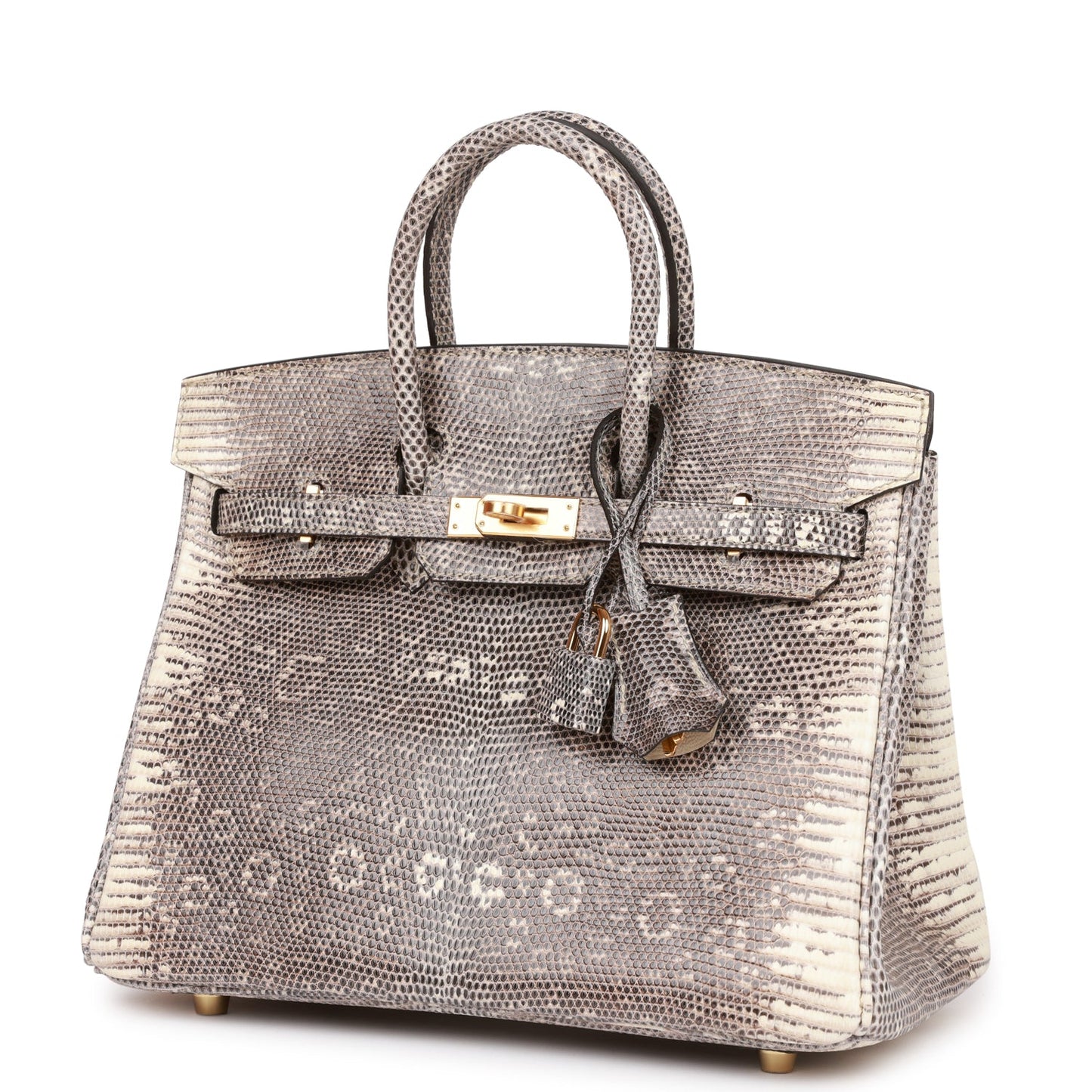 Hermes Birkin 25 Ombre Shiny Salvator Lizard Gold Hardware