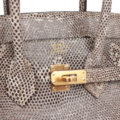 Hermes Birkin 25 Ombre Shiny Salvator Lizard Gold Hardware