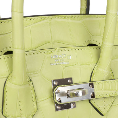 Hermes Birkin 25 Jaune Bourgeon Matte Alligator Palladium Hardware