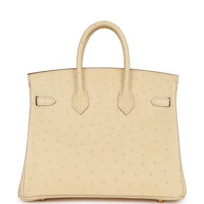 Hermes Birkin 25 Vanille Ostrich Boreal Gold Hardware