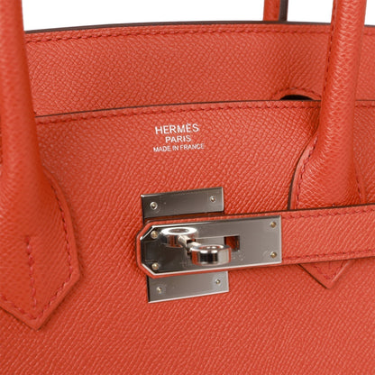 Hermes Birkin Sellier 30 Terre Battue Epsom Palladium Hardware