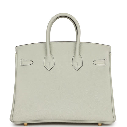 Hermes Birkin 25 Gris Neve Togo Gold Hardware