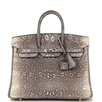 Hermes Birkin 25 Ombre Shiny Salvator Lizard Palladium Hardware