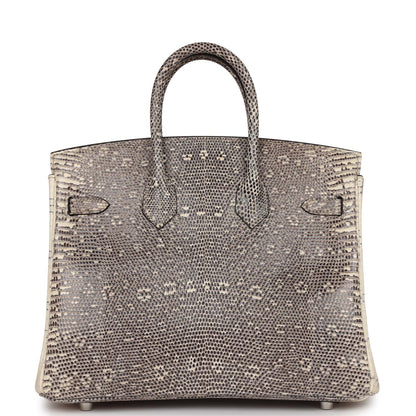 Hermes Birkin 25 Ombre Shiny Salvator Lizard Palladium Hardware