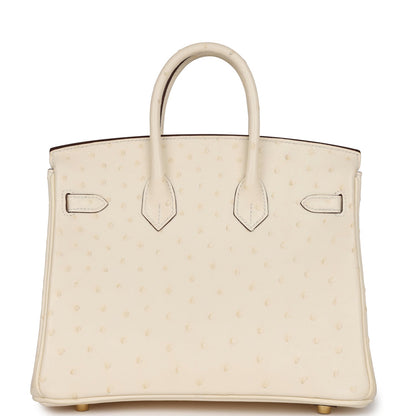 Hermes Birkin 25 Nata Ostrich Gold Hardware