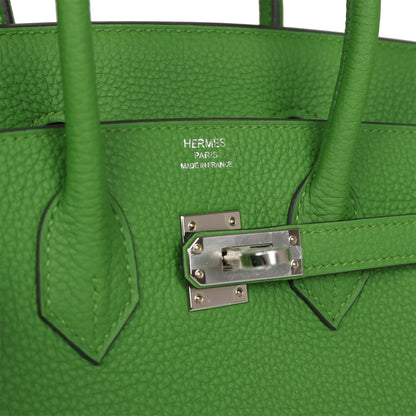 Hermes Birkin 25 Vert Yucca Togo Palladium Hardware