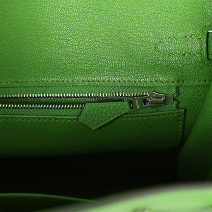 Hermes Birkin 25 Vert Yucca Togo Palladium Hardware