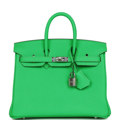 Hermes Birkin 25 Vert Comics Togo Palladium Hardware